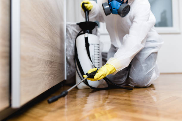 Best Flea Control Services  in Genoa, IL
