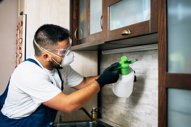 Best Commercial Pest Control Services  in Genoa, IL