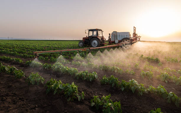 Best Local Pest Control Services  in Genoa, IL