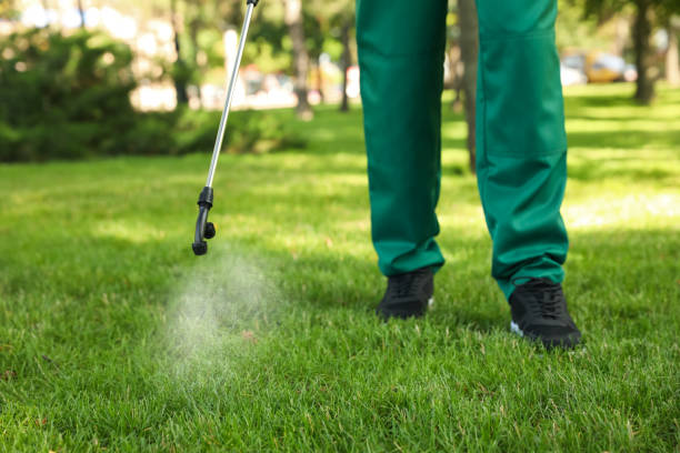 Best Cockroach Control Services  in Genoa, IL