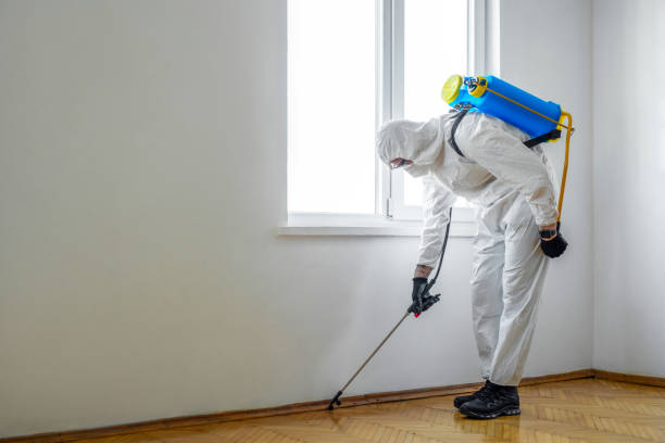 Best Termite Control Services  in Genoa, IL