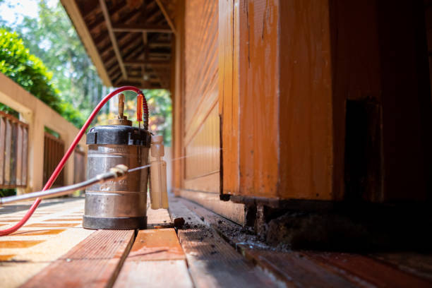 Best Ant Control Services  in Genoa, IL