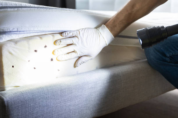 Best Affordable Pest Control Services  in Genoa, IL