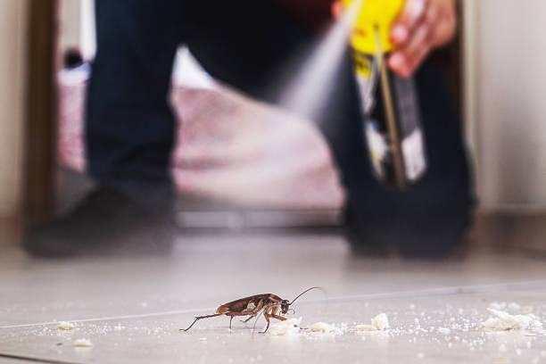 Best Cockroach Control Services  in Genoa, IL